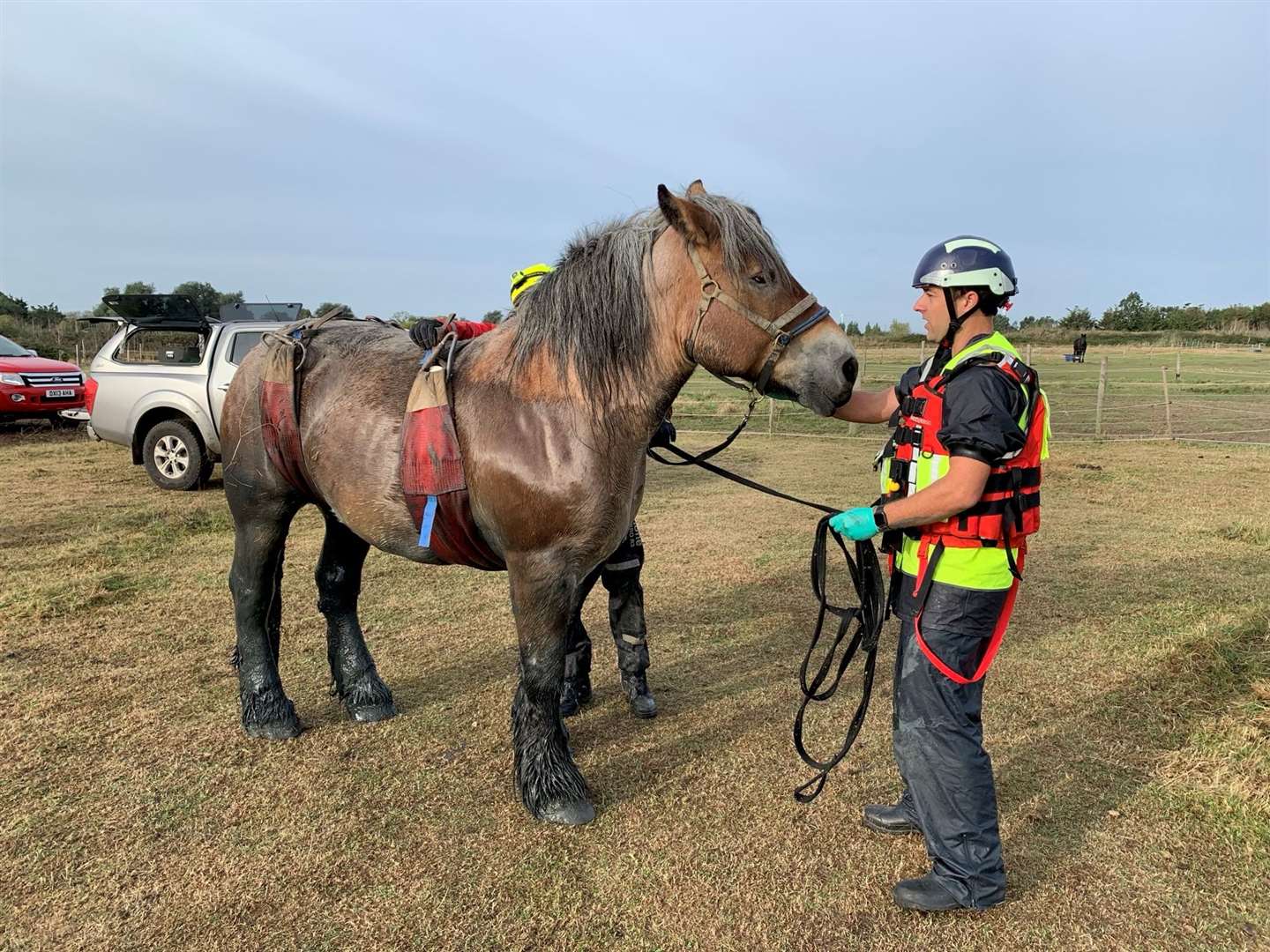 Waffle was taken back to her stable for a bath. Photo: KFRS