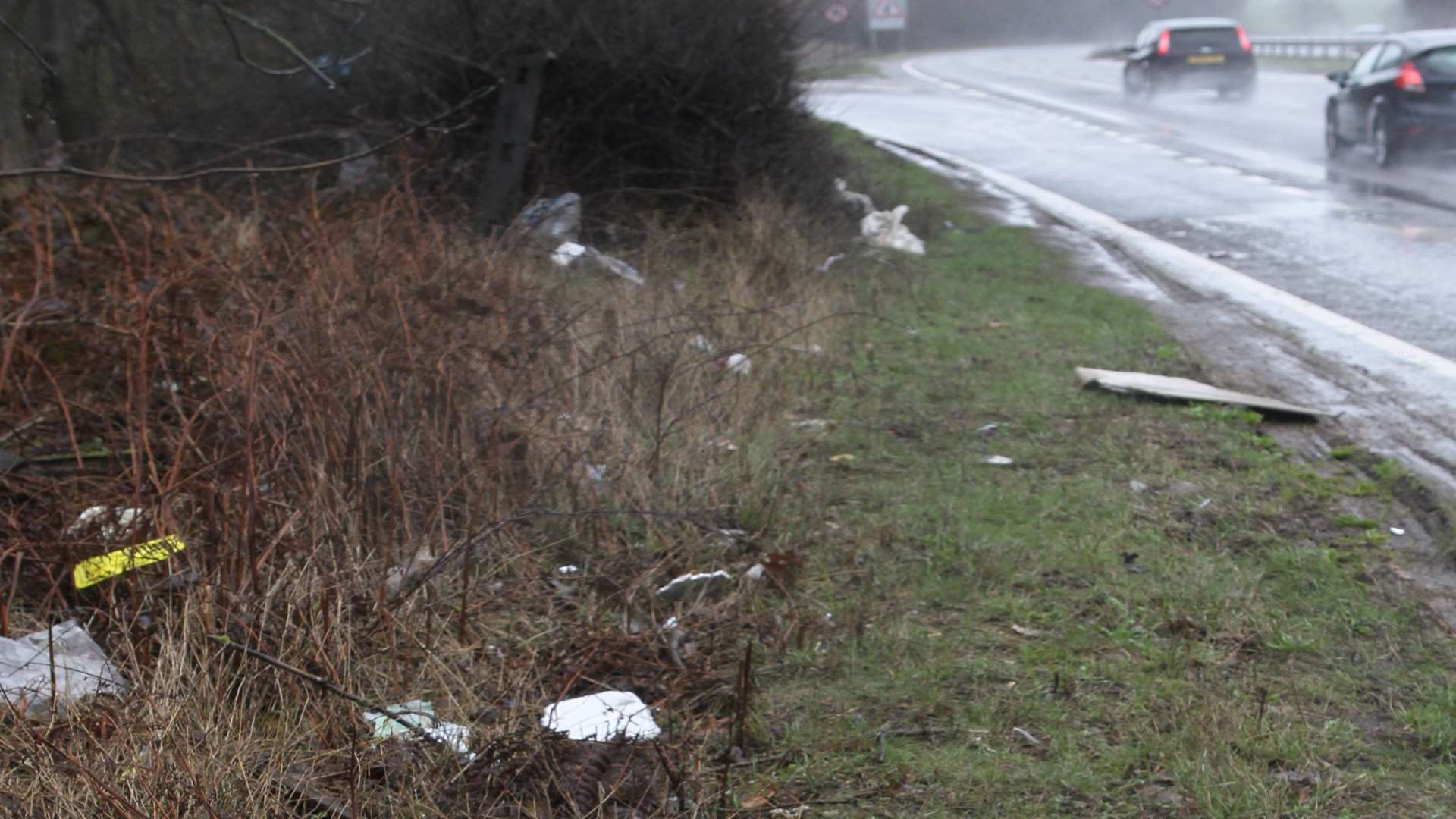 Littered verges are common on main roads.
