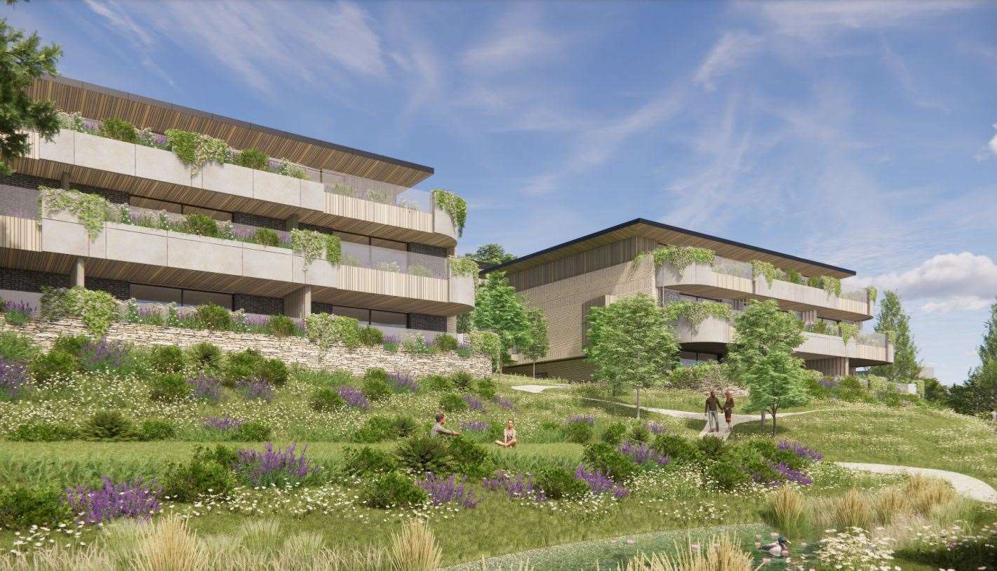 Some have likened the designs to the 1950s brutalist movement. Picture: Hollaway Studios