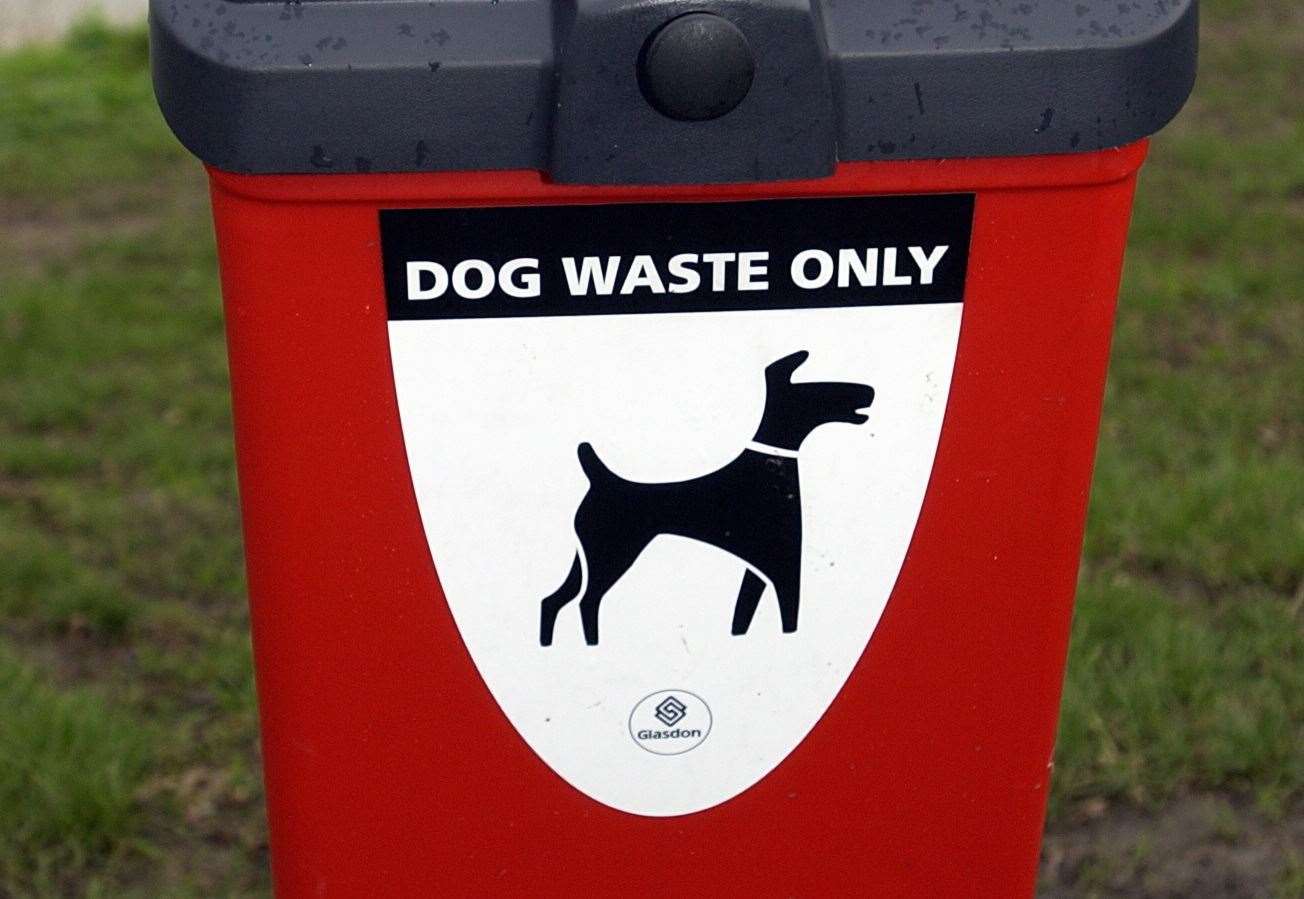 When picking up your dog's poo make sure their are no abnormalities before throwing it away. Stock image