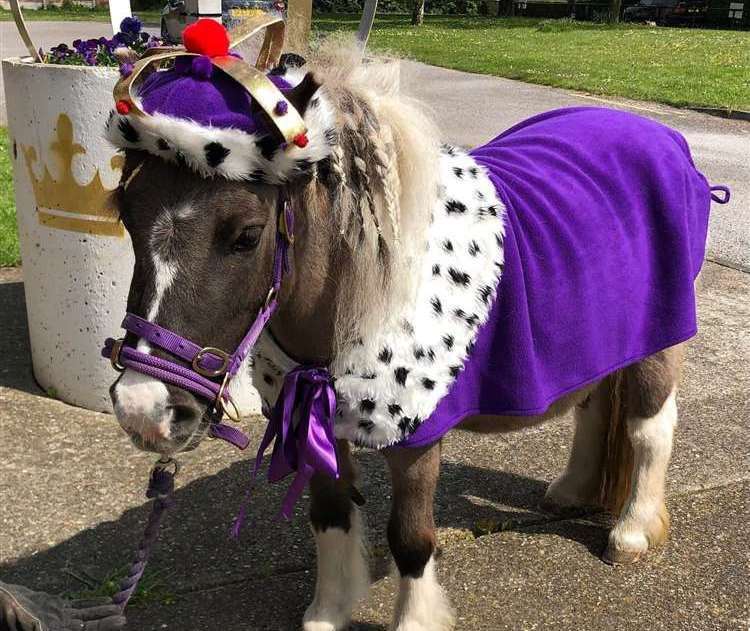 Kizzy brought smiles to people’s faces in her royal attire. Picture: Nicky Tucker