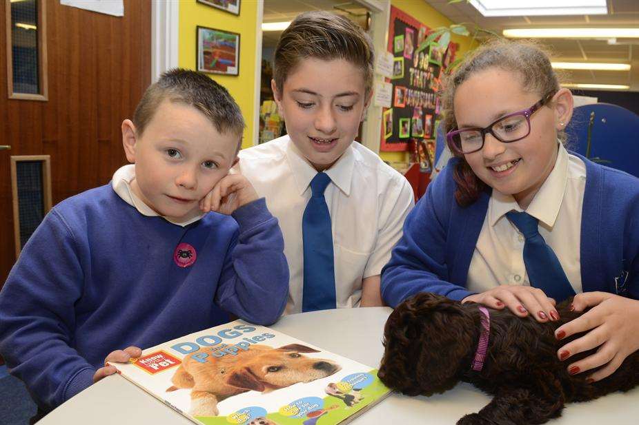 Jake Walder, six, Joe Ryan, 11 and Megan Foster, 10, with Magic, Minster Primary School's new puppy