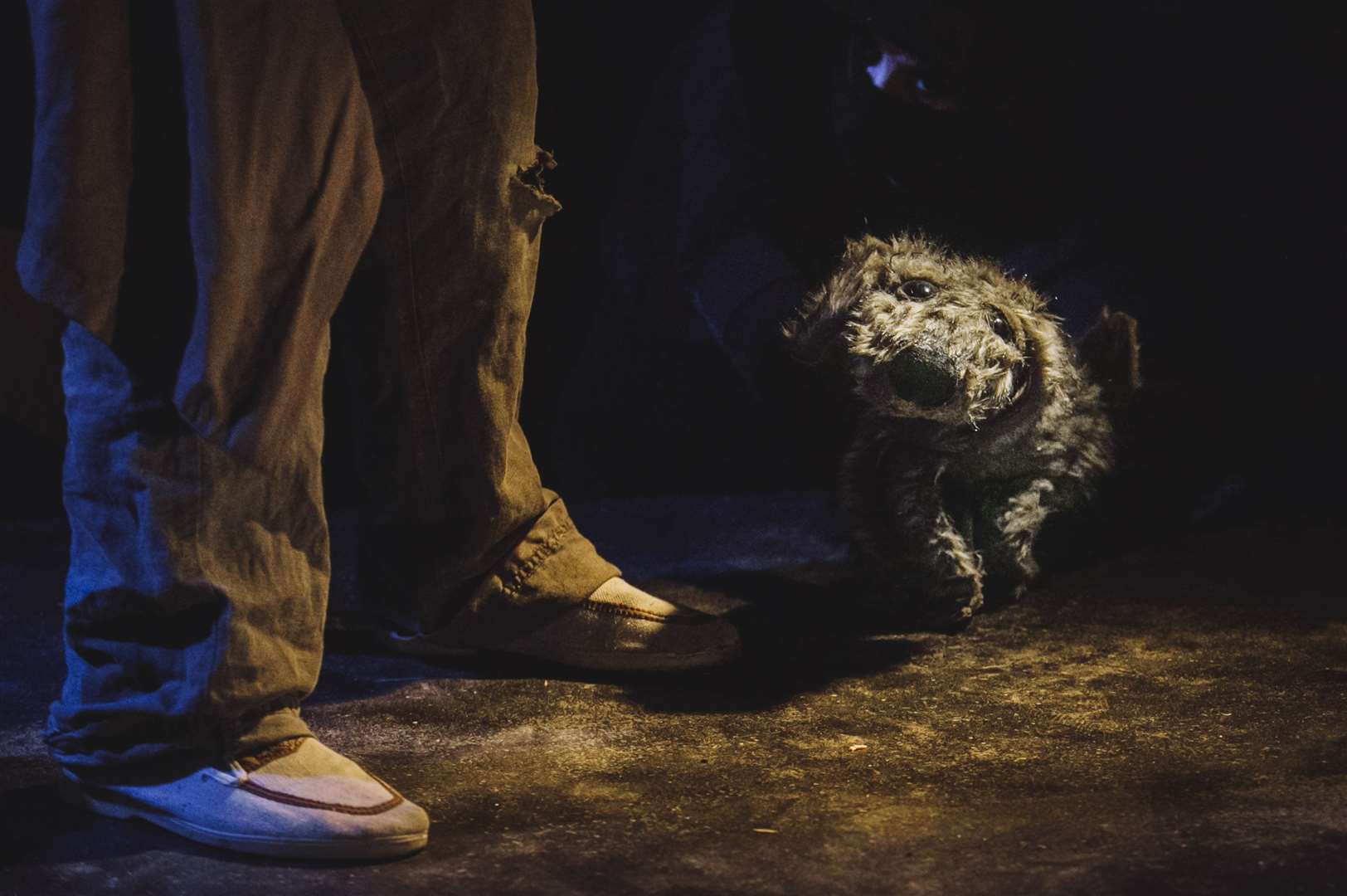 Lost Dog came Tunbridge Wells in 2019 Picture: Julio Cesar