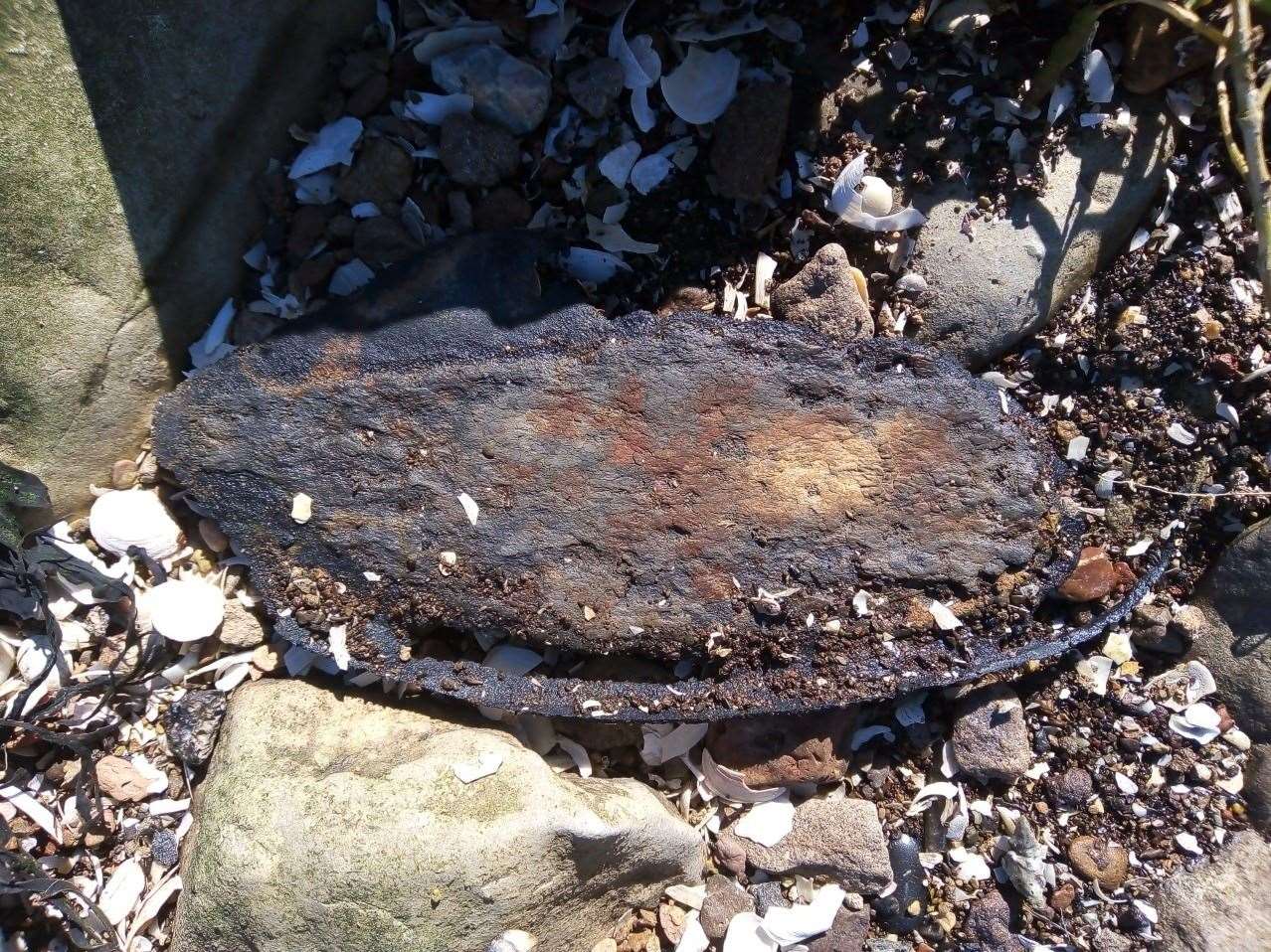 The shoe as it was found on a foreshore in North Kent. Picture: Steve Tomlinson