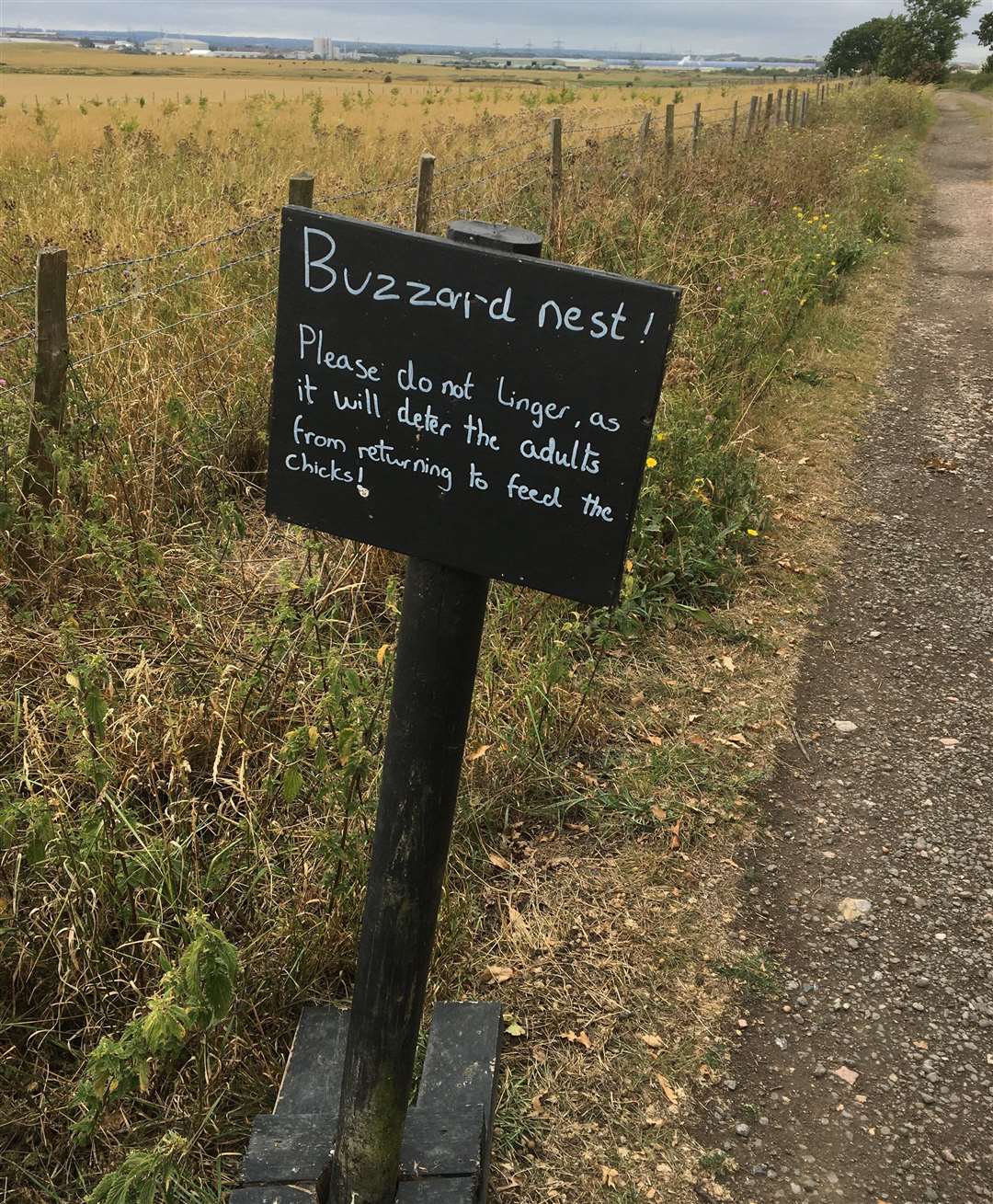 A sign showing buzzards have a nest