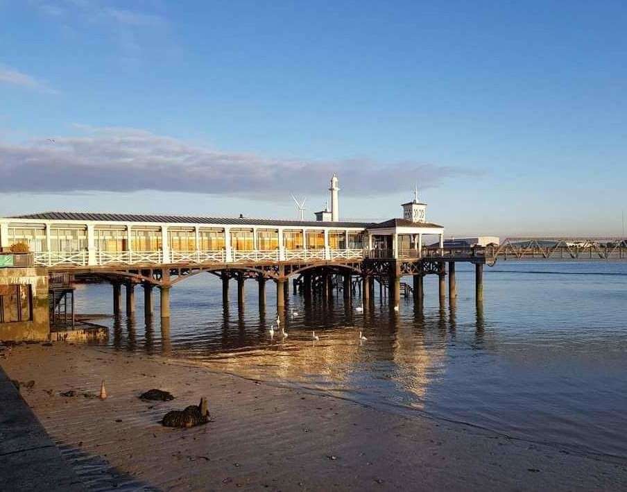 The aquatic mammal was seen swimming not far from the town pier. Picture: Gravesham council