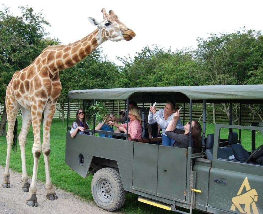 Port Lympne is one of the venues running a special offer for Kent’s Big Weekend