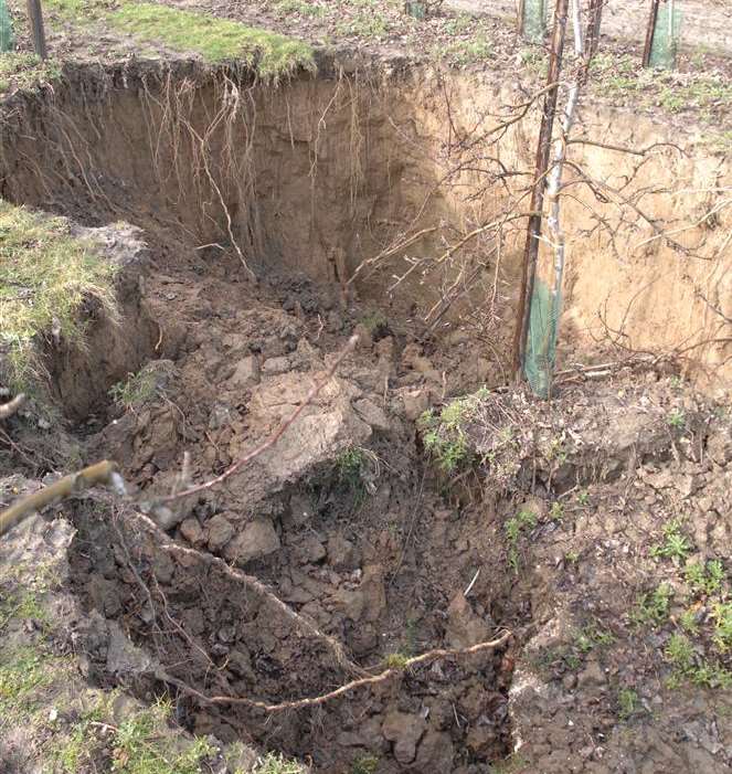 One of the dene holes which swallowed up trees at Paradise Farm