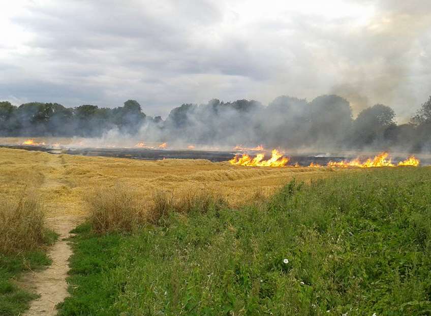 The fire spread towards houses Picture: Lucinda Orridge
