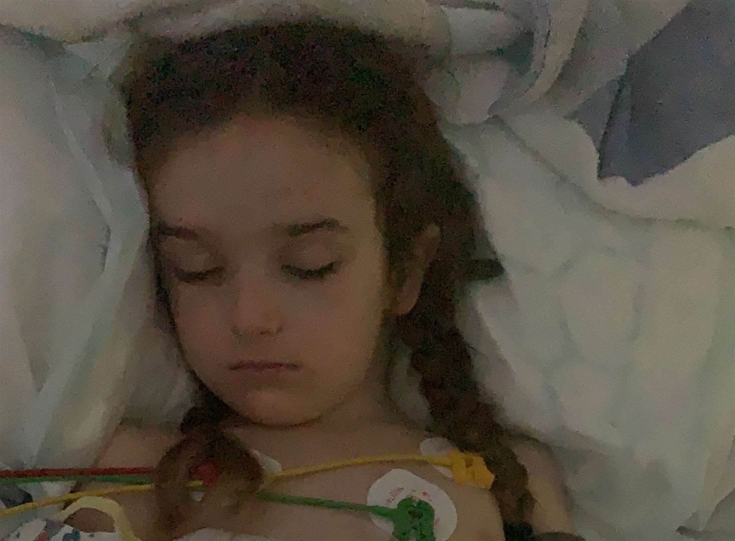 Layla the day after her surgery. Picture: Ruby Miller
