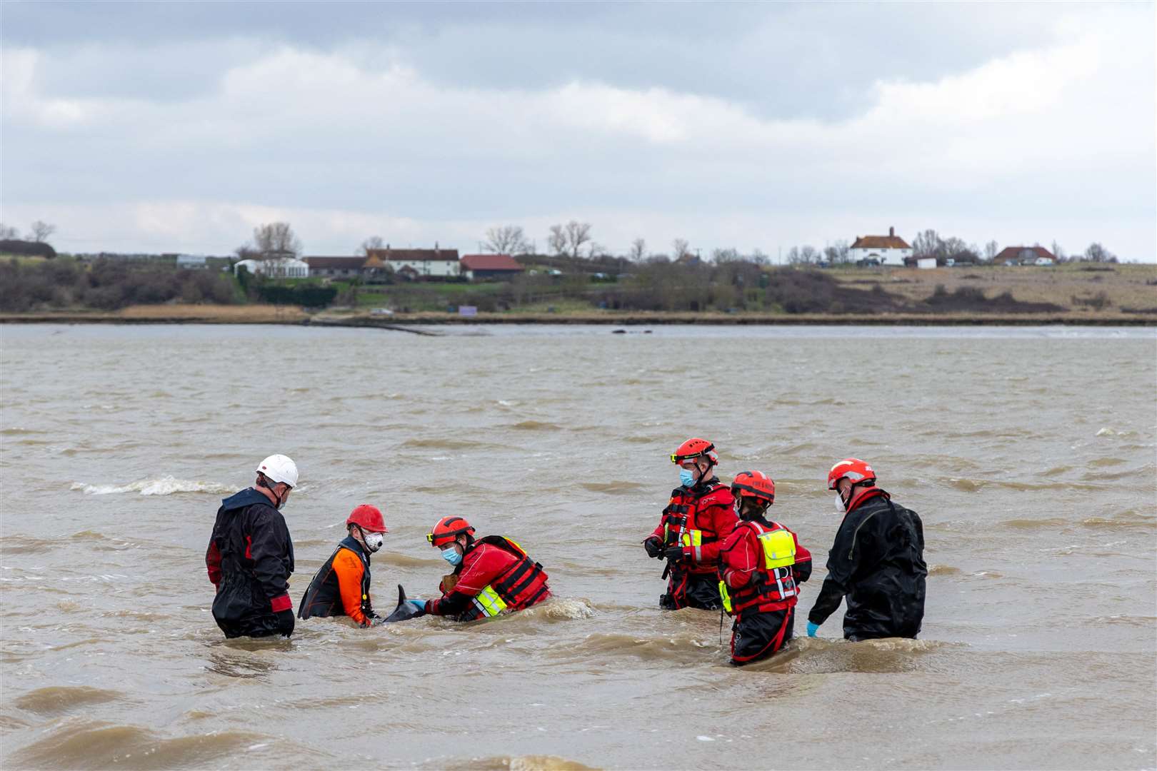 Crews were called to shallow water in Faversham just before 9am. Picture: Kent Fire and Rescue Service