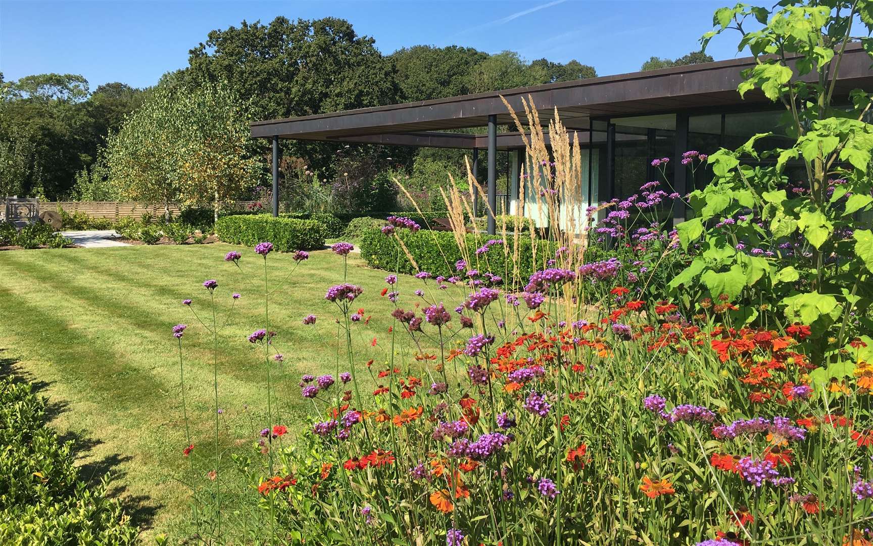 The Copper House near Cranbrook is a modern garden with colourful shrubs and borders. Picture: National Garden Scheme