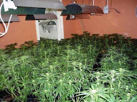 Medway police uncovered a cannabis factory at Rose Street, Rochester, in June 2010