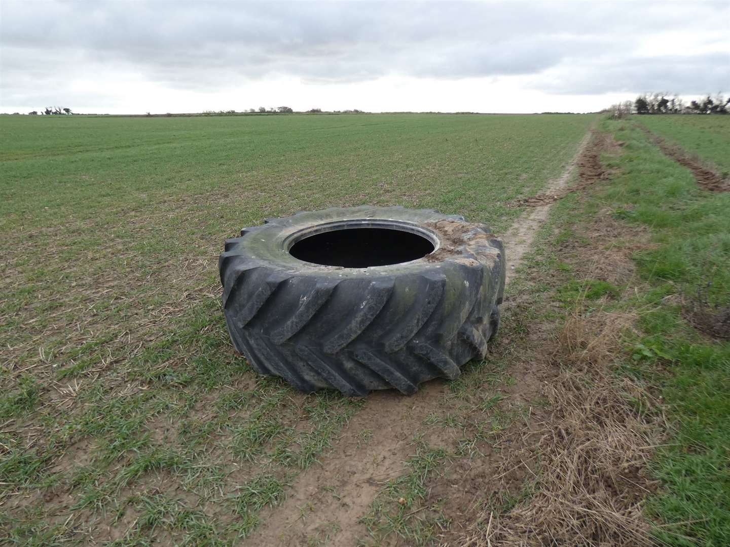 There is now a tractor tyre shielding the hole in a field in Deal. Picture: Paul Wells