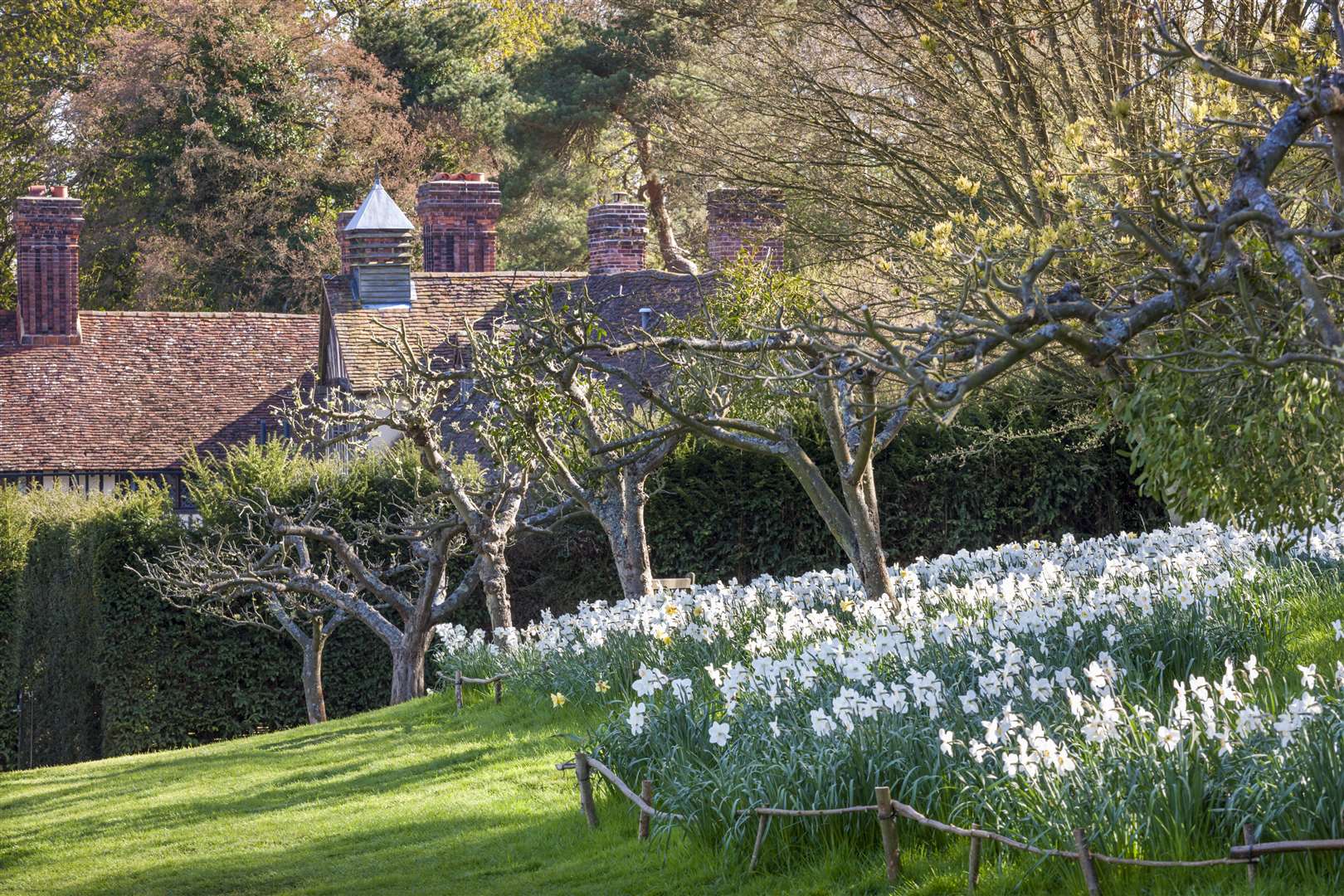 Make paper flowers and explore the beautiful grounds at Ightham Mote. Picture: National Trust Images / Andrew Butler