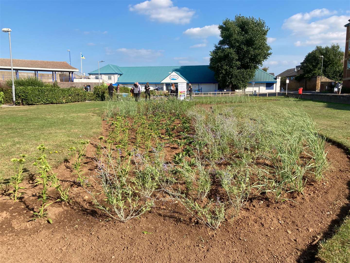 The new-look Beachfiels seafront park at Sheerness is bursting into colour with the recent planting of bee-friendly plants in the flower beds