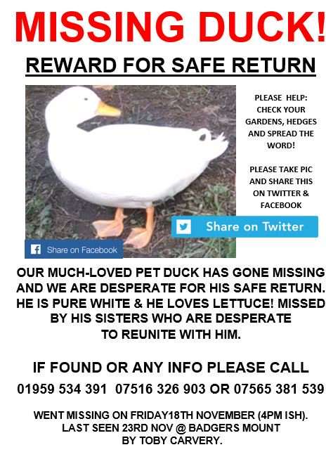 Billy Smith and his family are rewarding £100 for the safe return of their duck