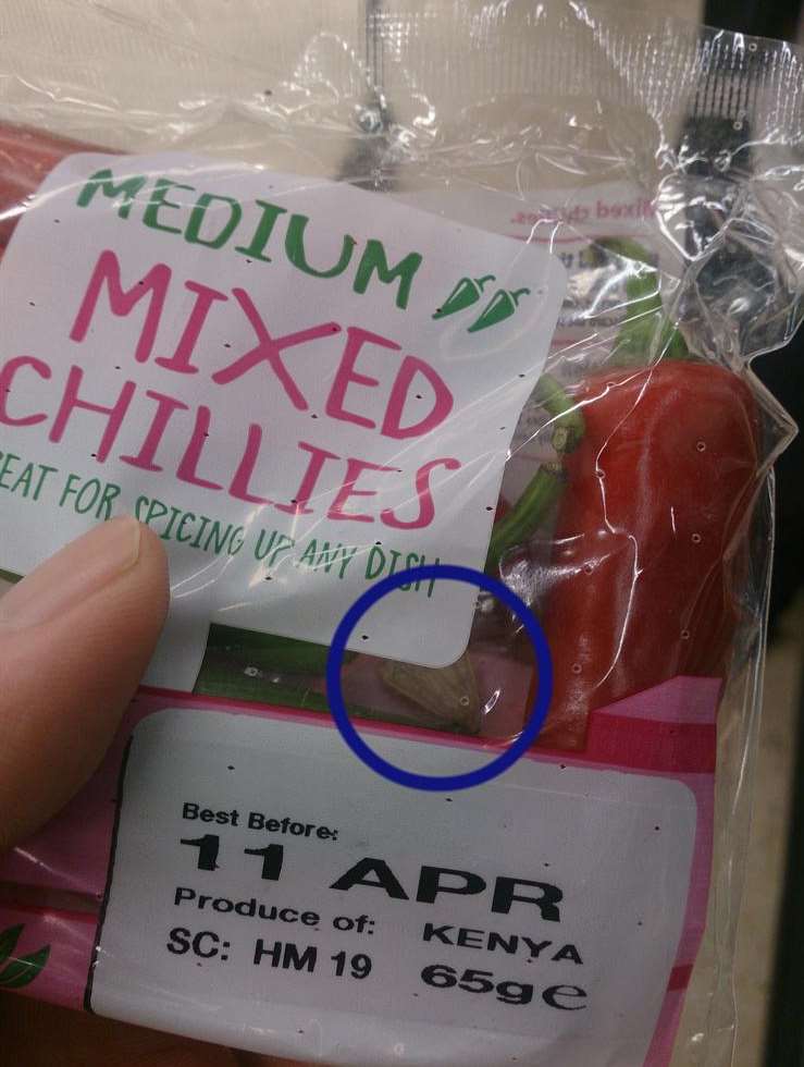 The moth can be seen inside the sealed bag of chillies in Tesco