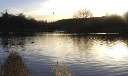 Capstone Farm Country Park. Picture: ANDREW WARDLEY