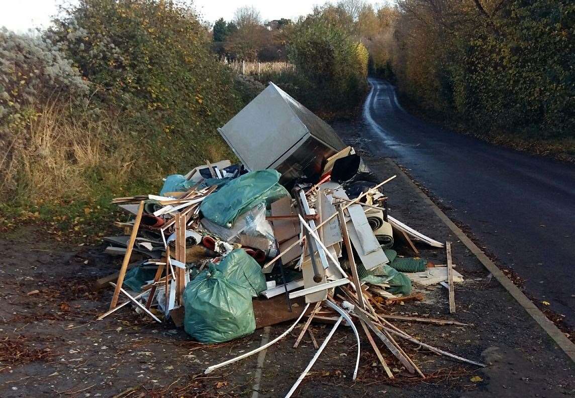 The trash fly-tipped in Warren Lane, Hartlip. Picture: Swale council