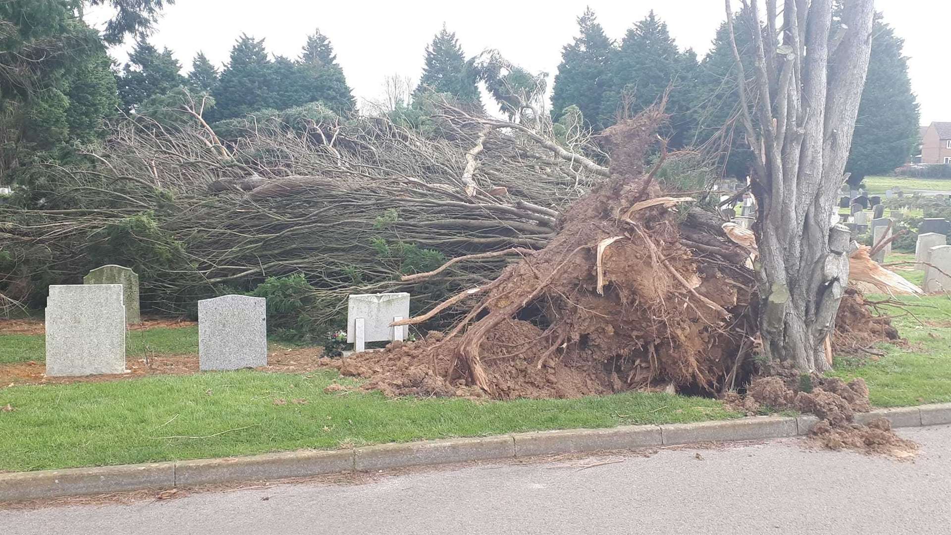 A number of trees came down in Hawkinge Cemetery. Photo: Ashley Fuggle