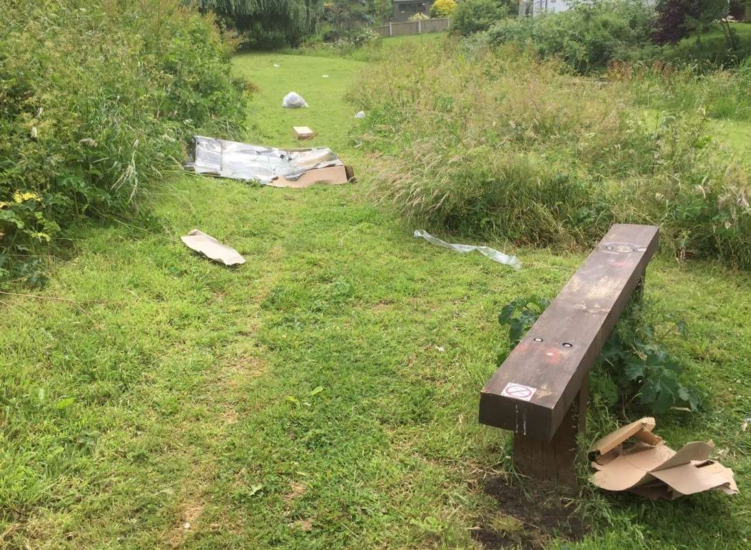 Travellers left rubbish including used toilet tissue on Kingsmead Field.
