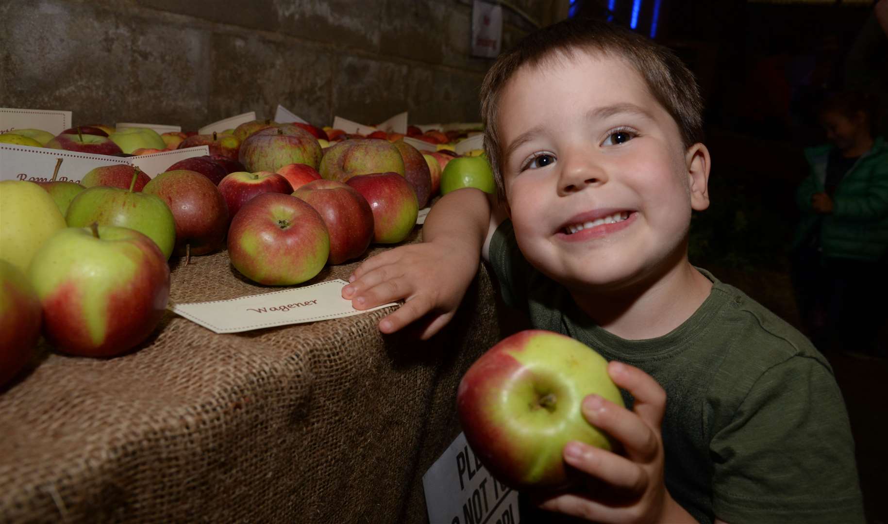 Arthur Jackson inspects the display at the apple festival last year Picture: Chris Davey