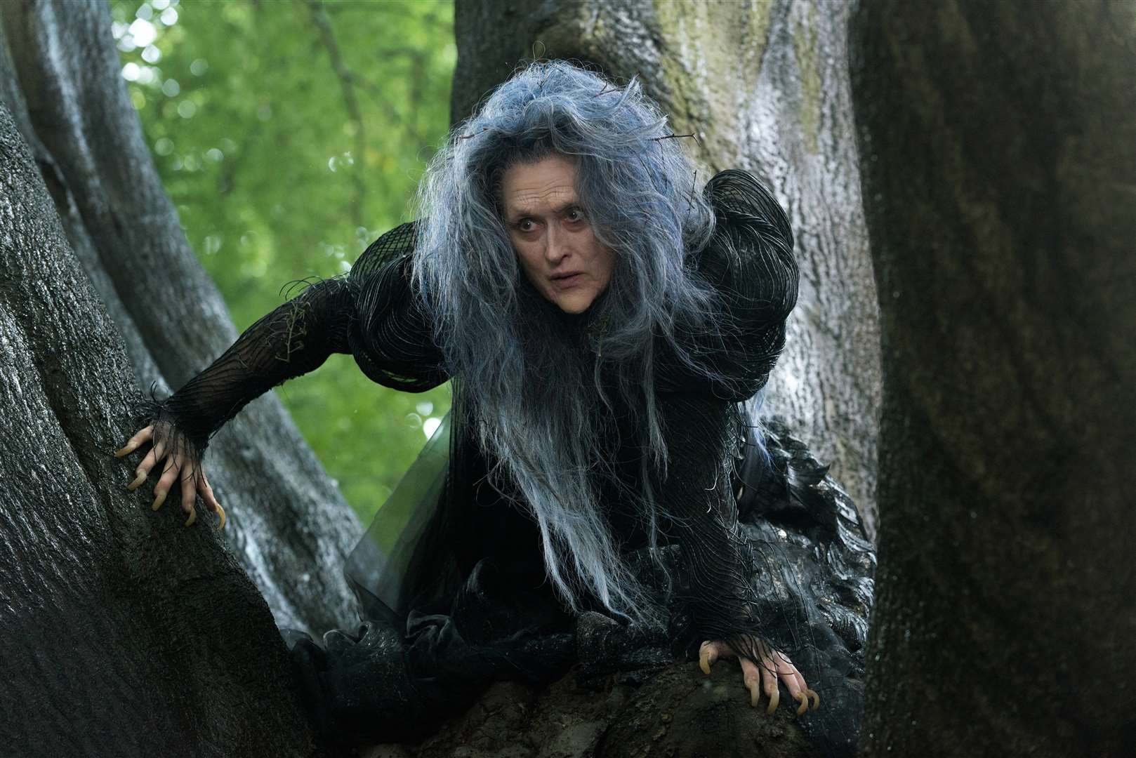 Meryl Streep, stars as The Witch, in Into The Woods. Picture: Walt Disney Studios