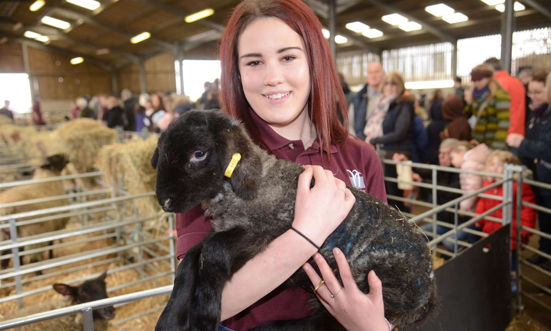 Ally Sweeney at a previous Hadlow College Lambing Weekend Picture: Gary Browne