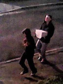 Burglars captured on CCTV after stealing Rocco, a Staffordshire bull terrier puppy, and a safe from a house in Strood