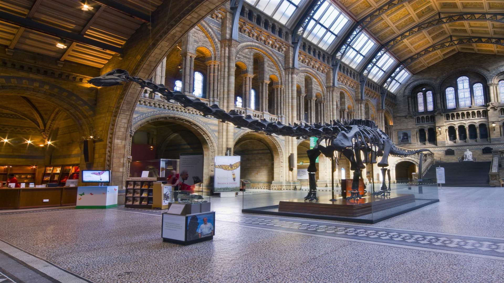 Dippy the Diplodocus has welcomed visitors for 35 years