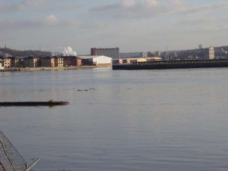 The seal takes in the sights of the Medway