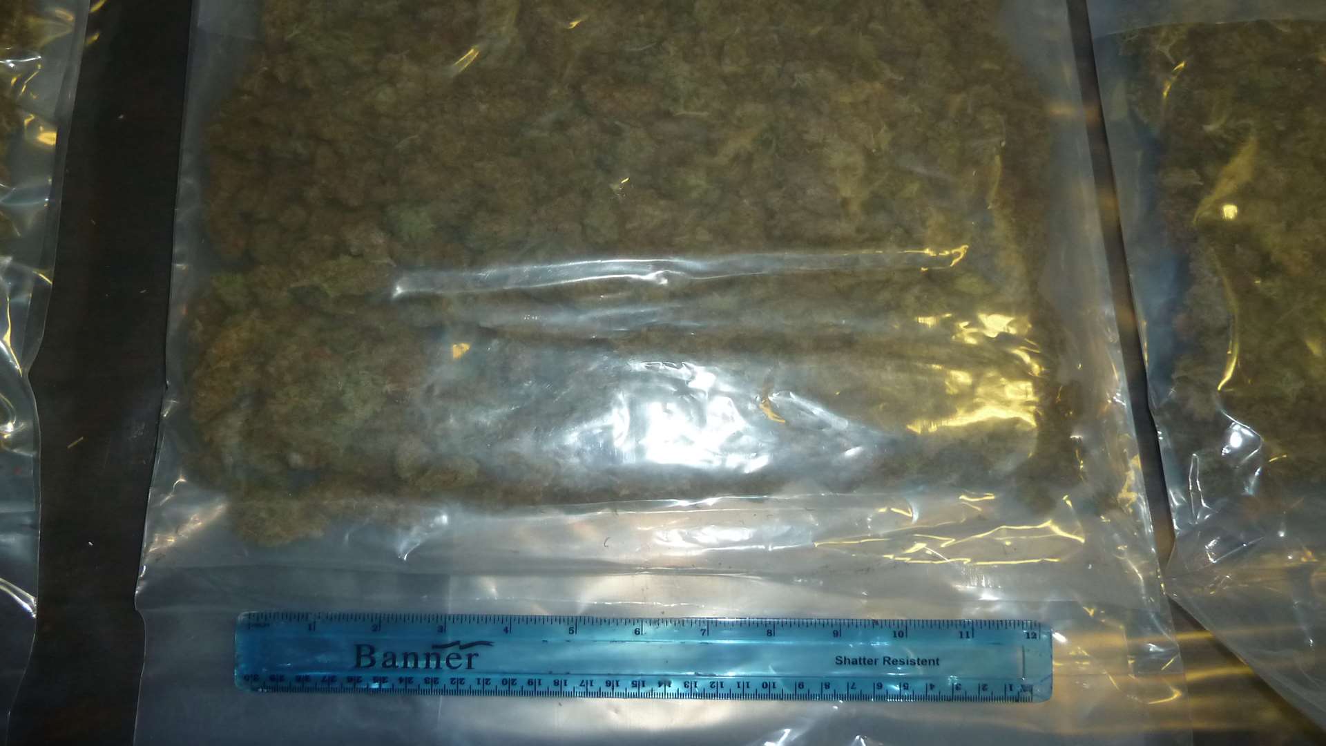 Herbal cannabis found in a van at Dover docks. Picture courtesy of the Home Office