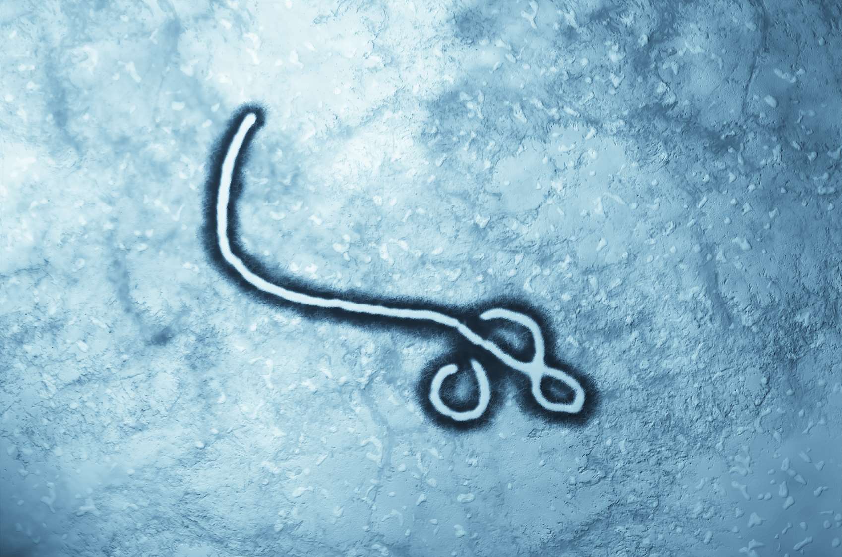 The Ebola virus has a long incubation period, which means screening may not be wholly effective. Library picture