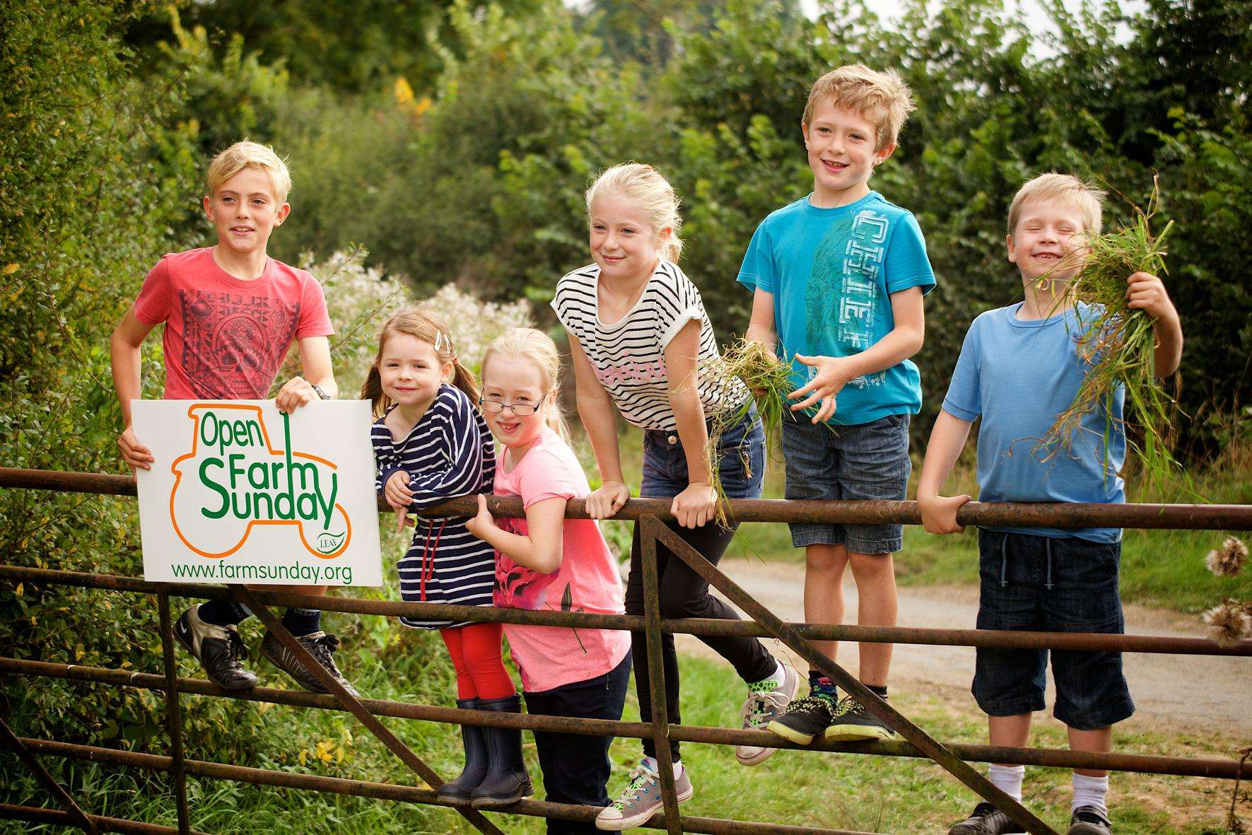 Open Farm Sunday is a chance to learn about farming