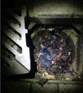 A phone dumped in a drain outside Lewis Ludlow's house. Picture: CTPSE
