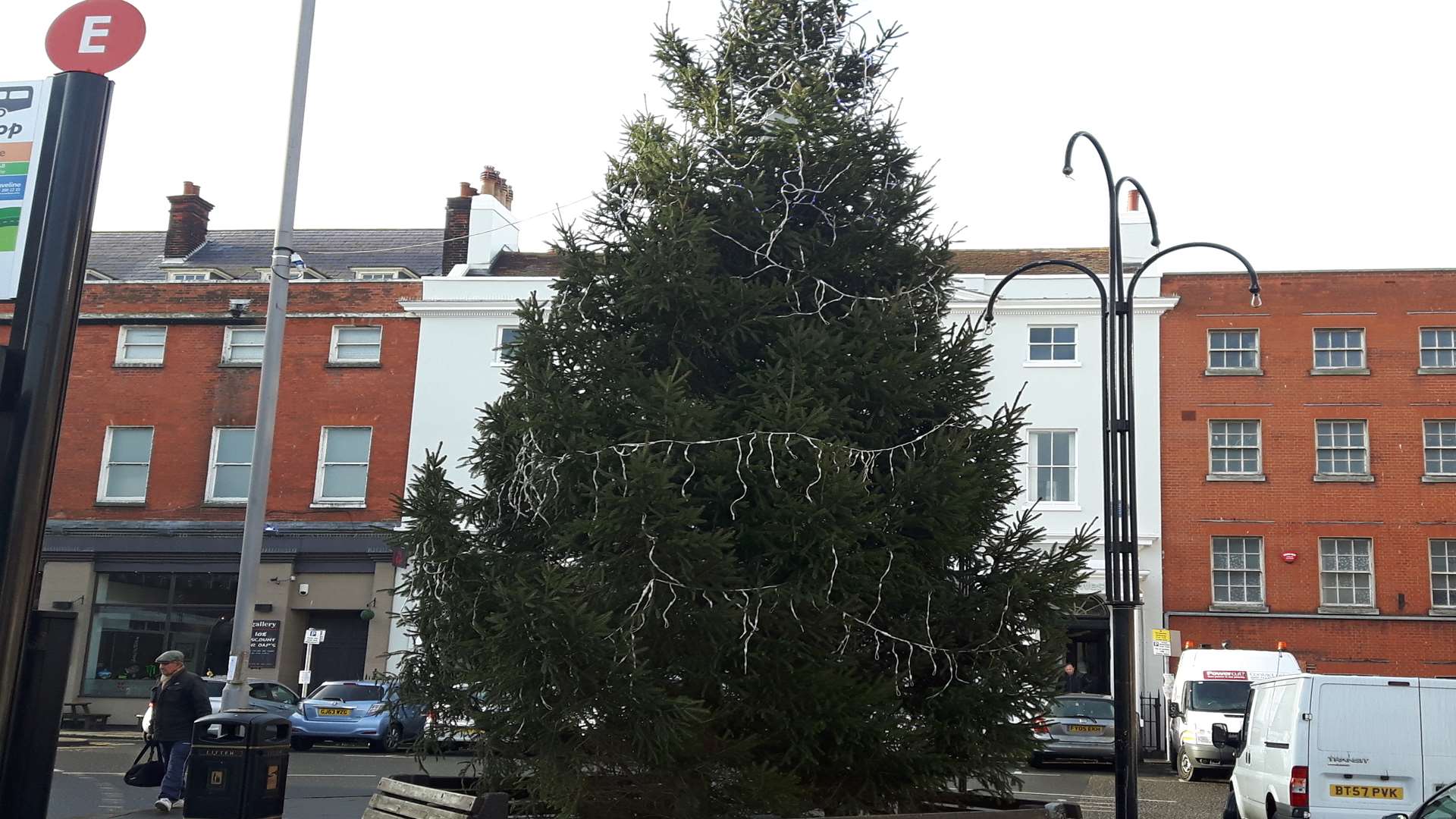 The Christmas tree in Cecil Square