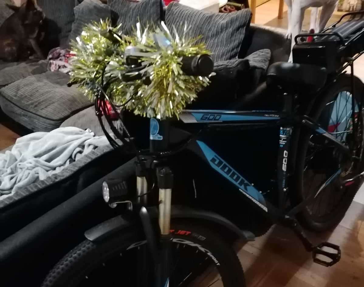 Karan's bike that was stolen from Invicta Road in Sheerness. Picture: Karan Lovell