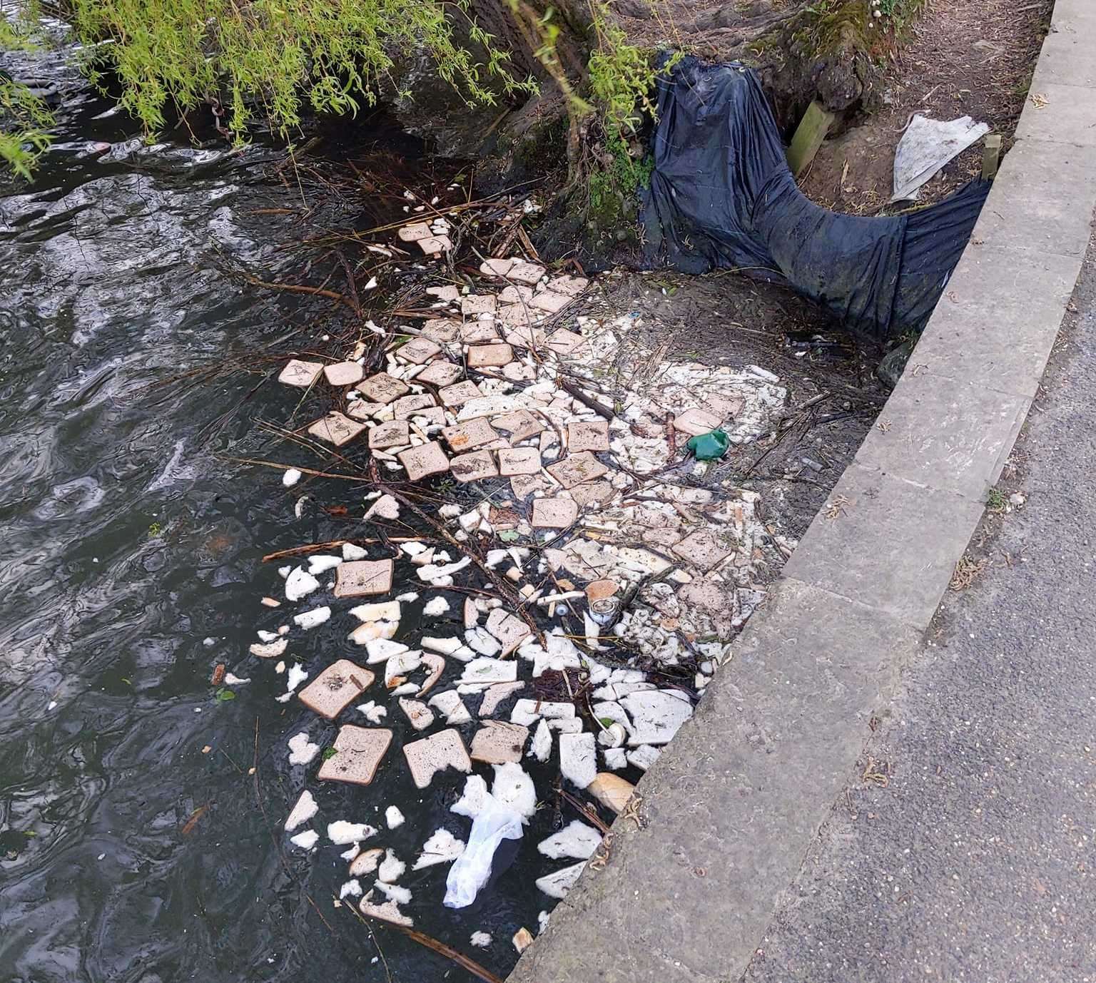 Dozens of bread slices have been found in Mote Park, Maidstone. Picture: Celene Rudling