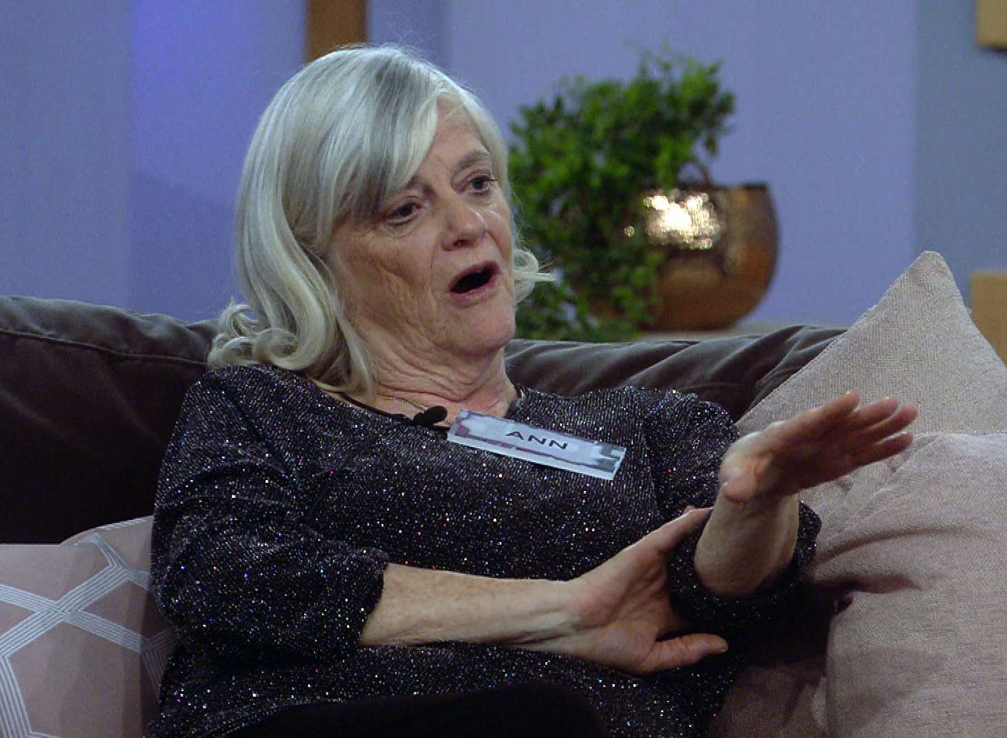 Ann Widdecombe made her opinions clear on Wednesday night's episode of Celebrity Big Brother