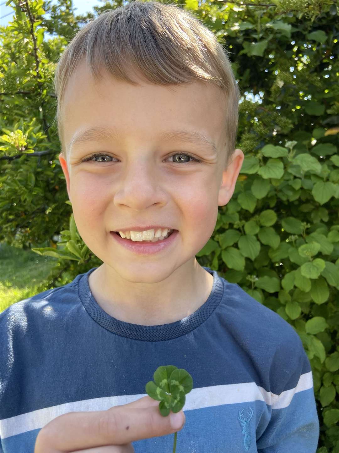 Theodore Webb found the rare clover within a minute