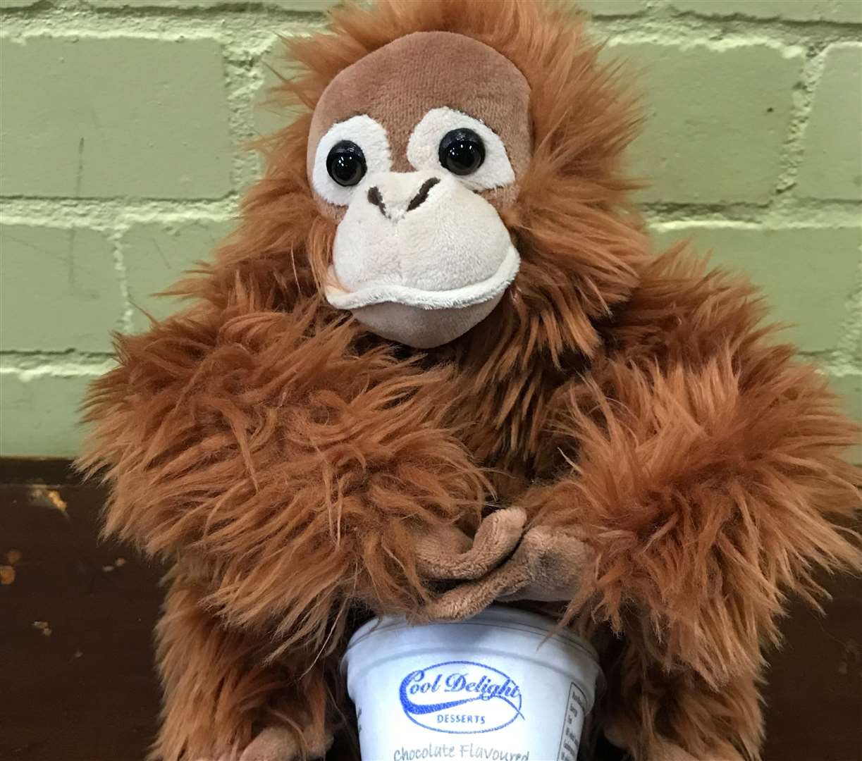 A toy orangutan with the offending ice cream (7538902)