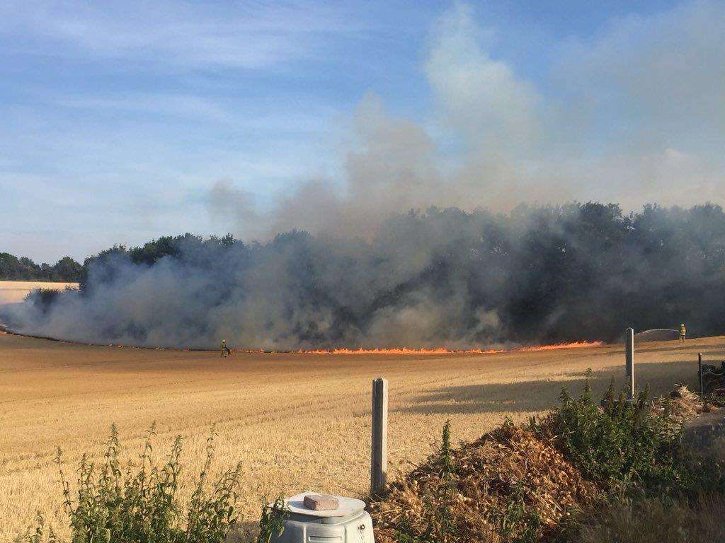 The field fire in Shorne. Picture: Claire Hylands