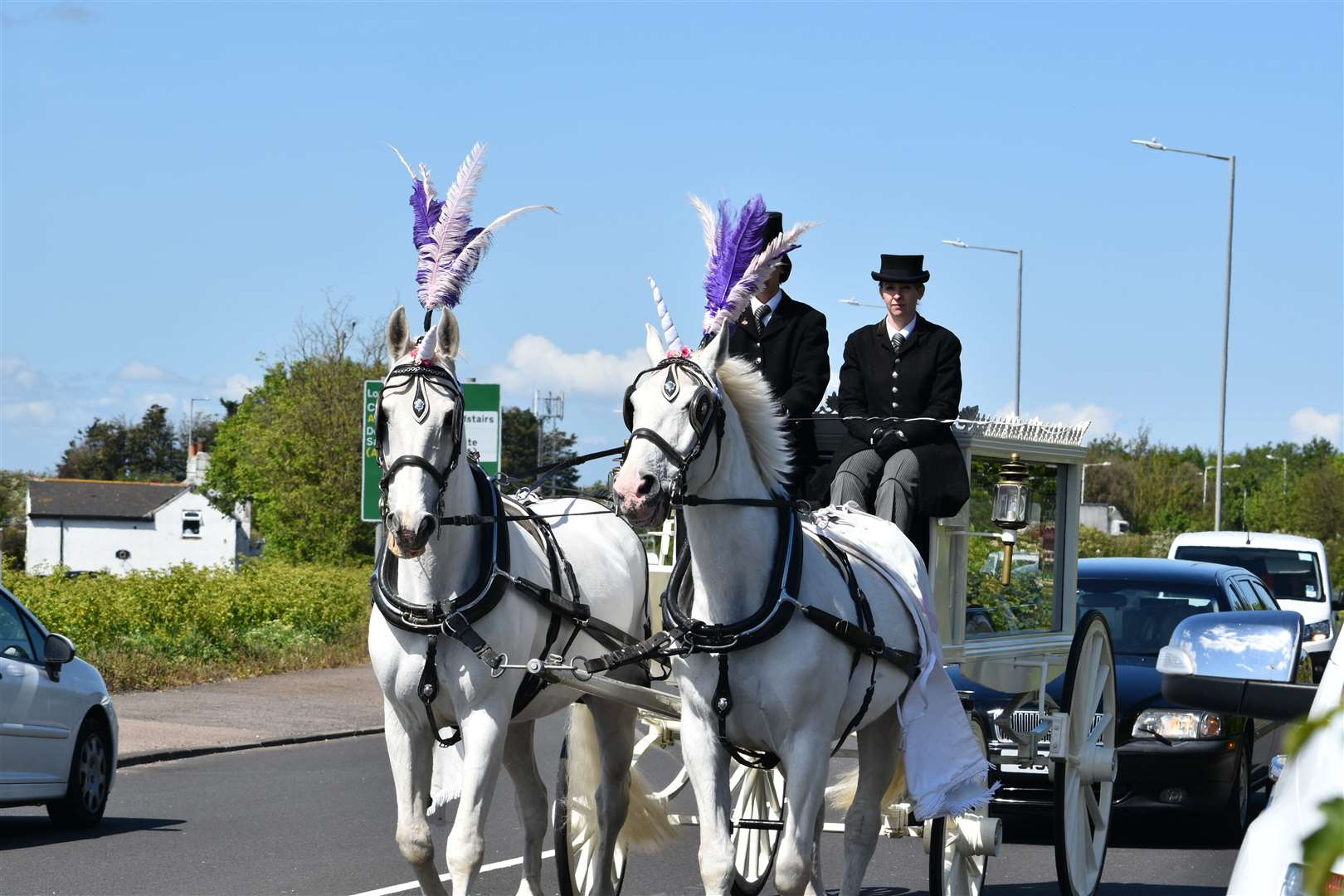 Horses at her funeral were transformed into unicorns