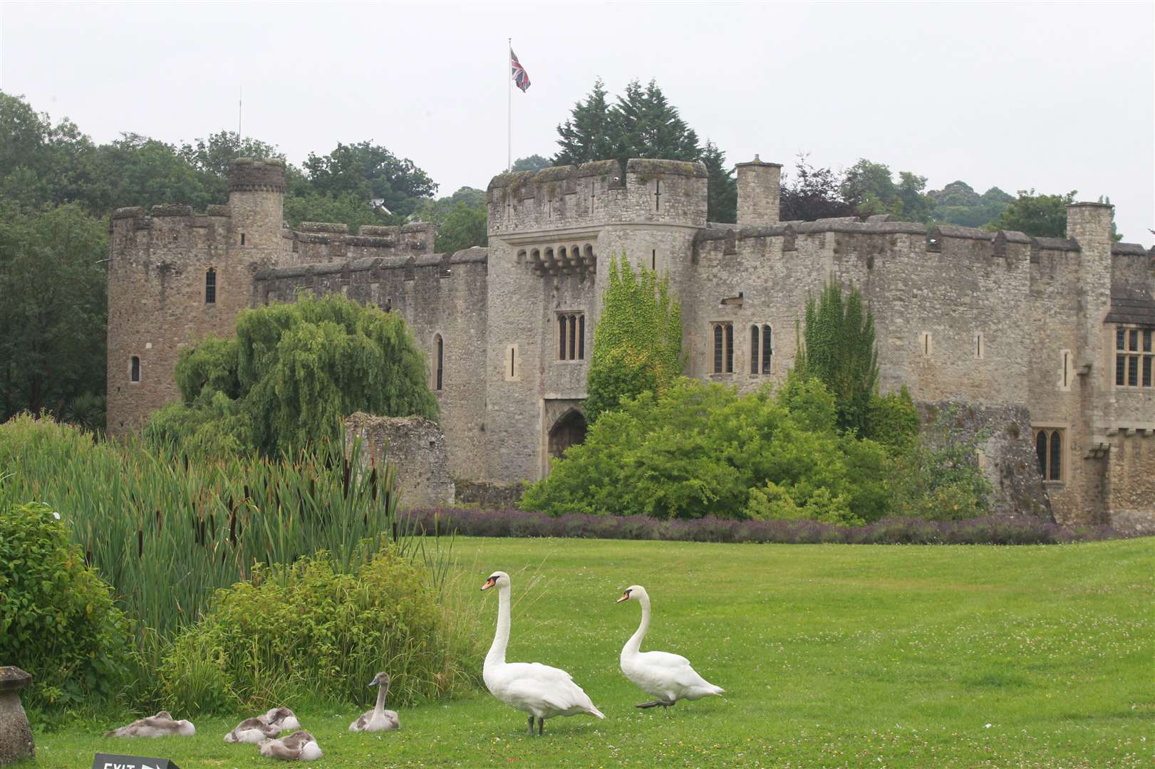 Allington Castle, once home to Sir Henry Wyatt Picture: John Westhrop