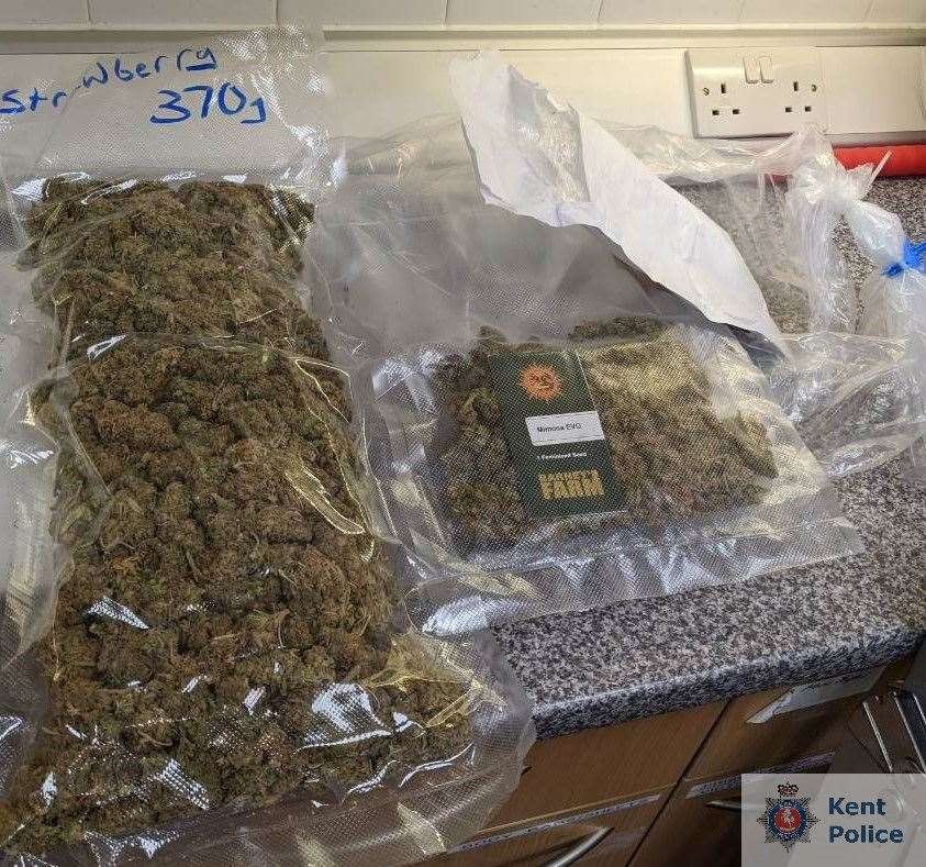 Some of the cannabis that was disguised as teabags (43521965)