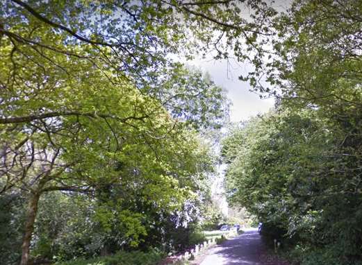 Woodland at Modest Corner. Picture: Google Maps