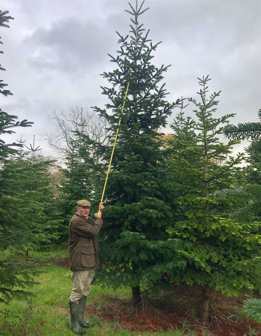 Edward Barham measures a 20-year-old tree at Hole Park