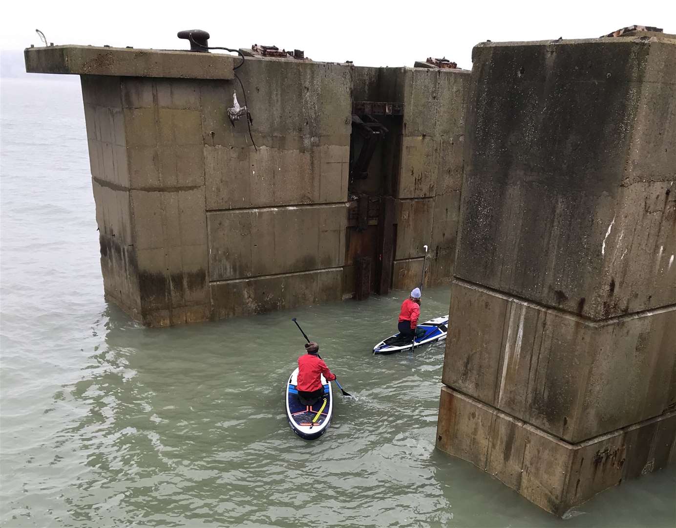 A group of paddleboarders came to the rescue. Picture: RSPCA