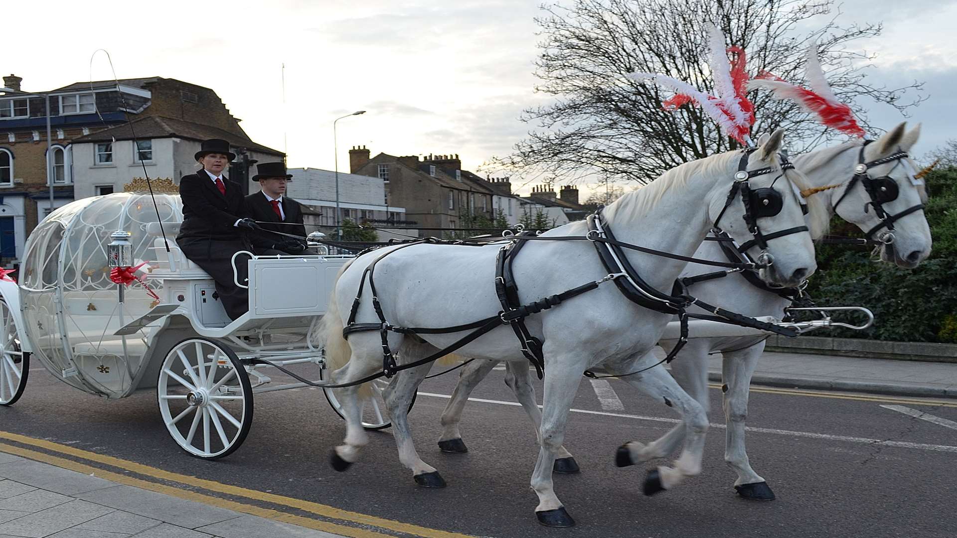 A unicorn drawn carriage at The Princess parade. Picture: Jason Arthur.